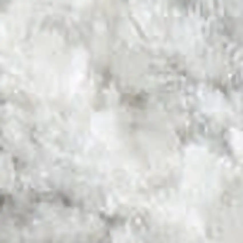 Gray Floral Distressed Area Rug Photo 4