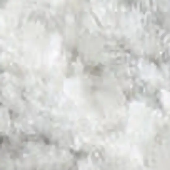 Gray Floral Distressed Area Rug Photo 4