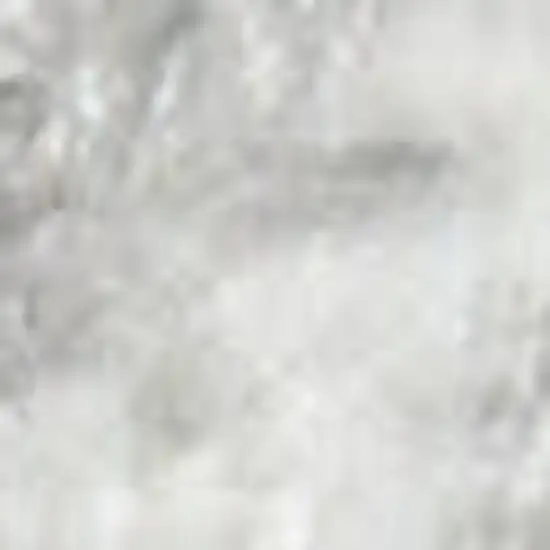 Gray Floral Distressed Area Rug Photo 3