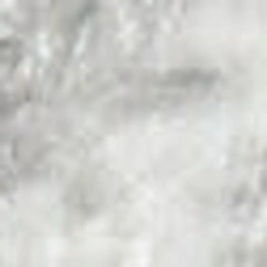 Gray Floral Distressed Area Rug Photo 3