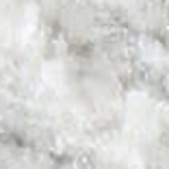 Gray Floral Distressed Area Rug Photo 3
