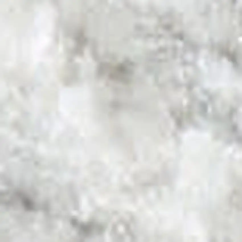 Gray Floral Distressed Area Rug Photo 3