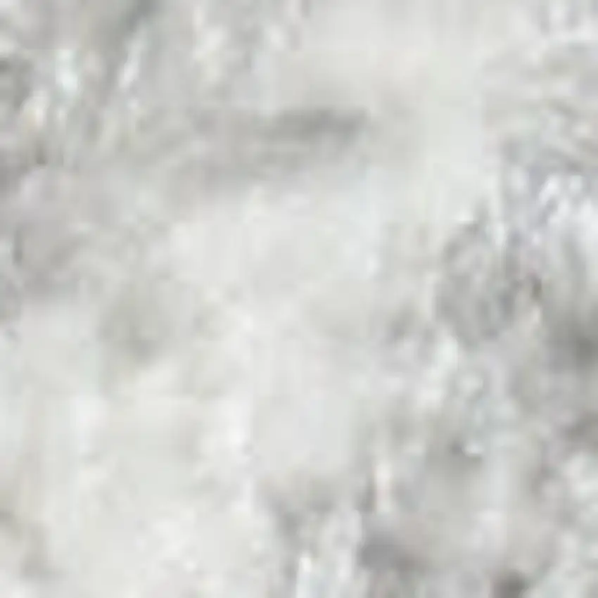Gray Floral Distressed Area Rug Photo 3