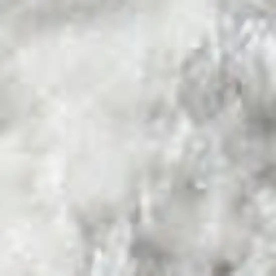 Gray Floral Distressed Area Rug Photo 3