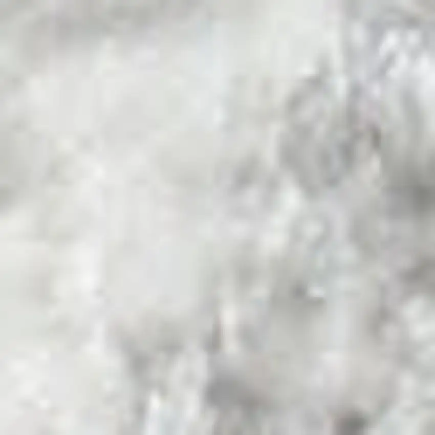 Gray Floral Distressed Area Rug Photo 3