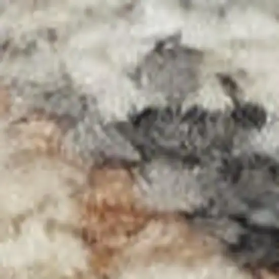 Gray Floral Distressed Area Rug Photo 3