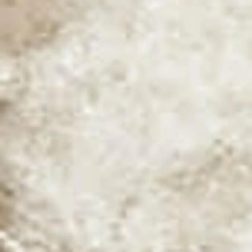 Gray Floral Distressed Area Rug Photo 4