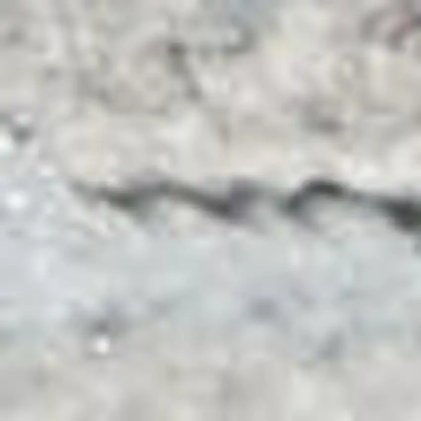 Gray Floral Power Loom Area Rug Photo 2