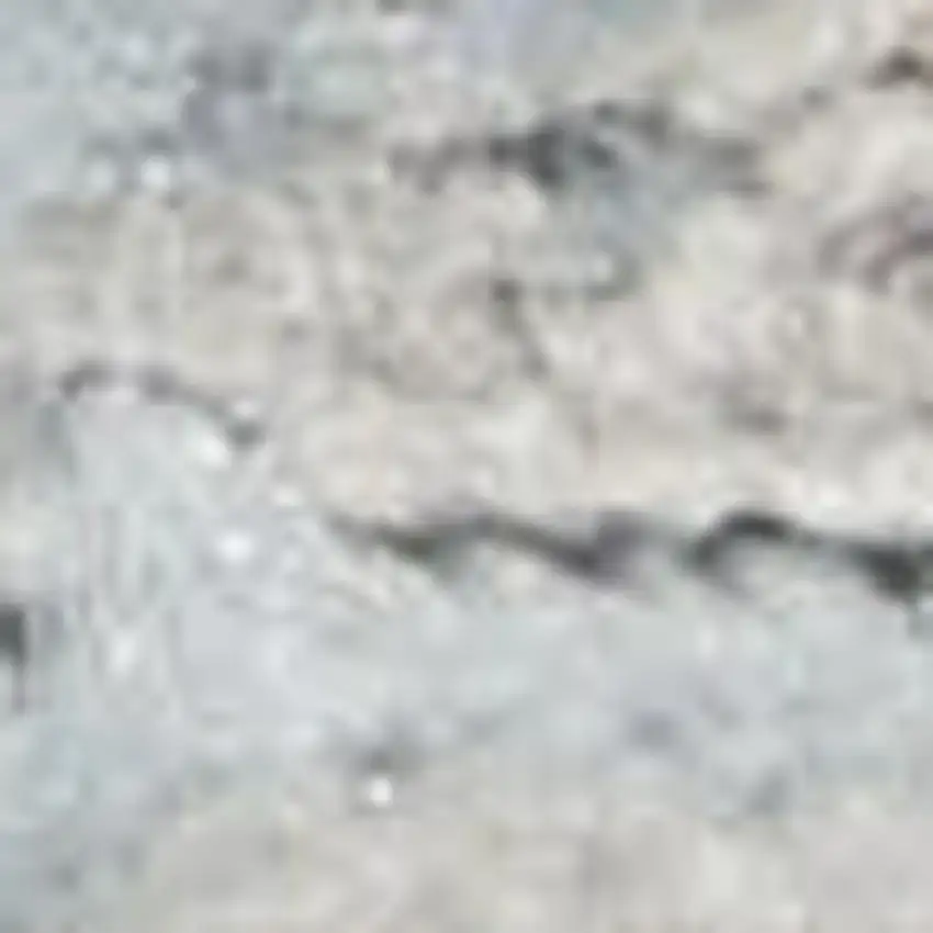 Gray Floral Power Loom Area Rug Photo 3