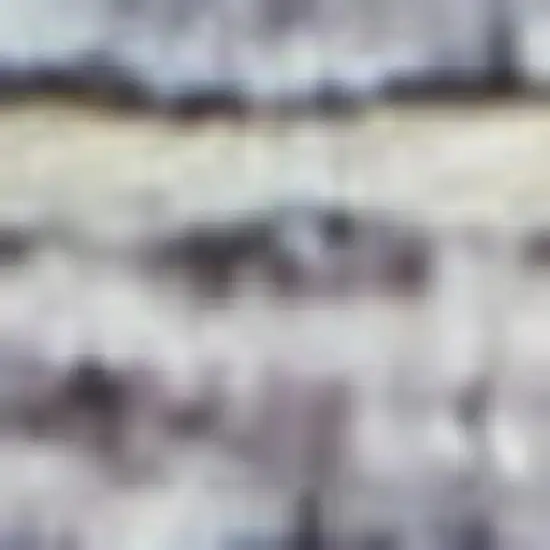 Gray Floral Power Loom Distressed Area Rug Photo 3