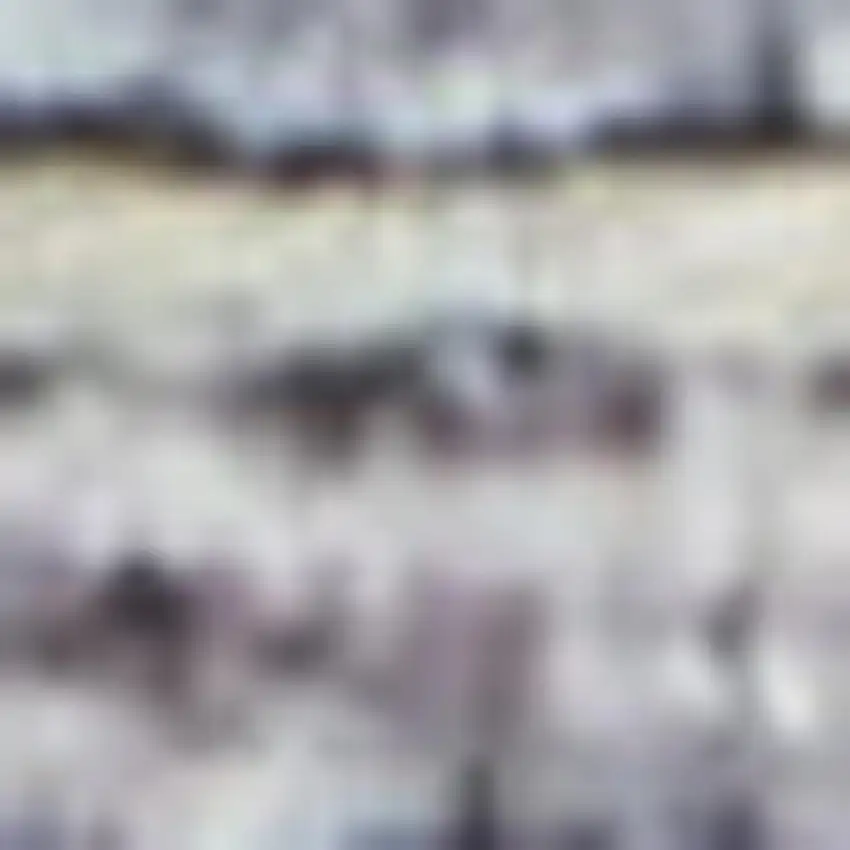 Gray Floral Power Loom Distressed Area Rug Photo 3