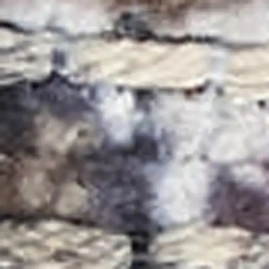 Gray Floral Power Loom Distressed Washable Area Rug Photo 4