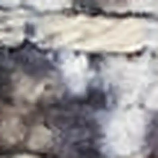 Gray Floral Power Loom Distressed Washable Area Rug Photo 3