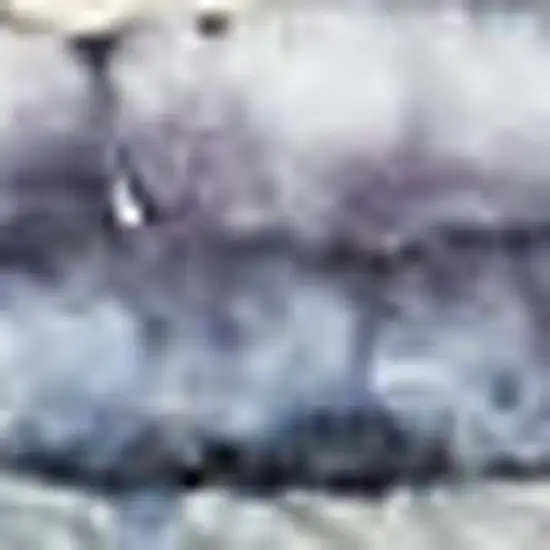 Gray Floral Power Loom Distressed Washable Area Rug Photo 3