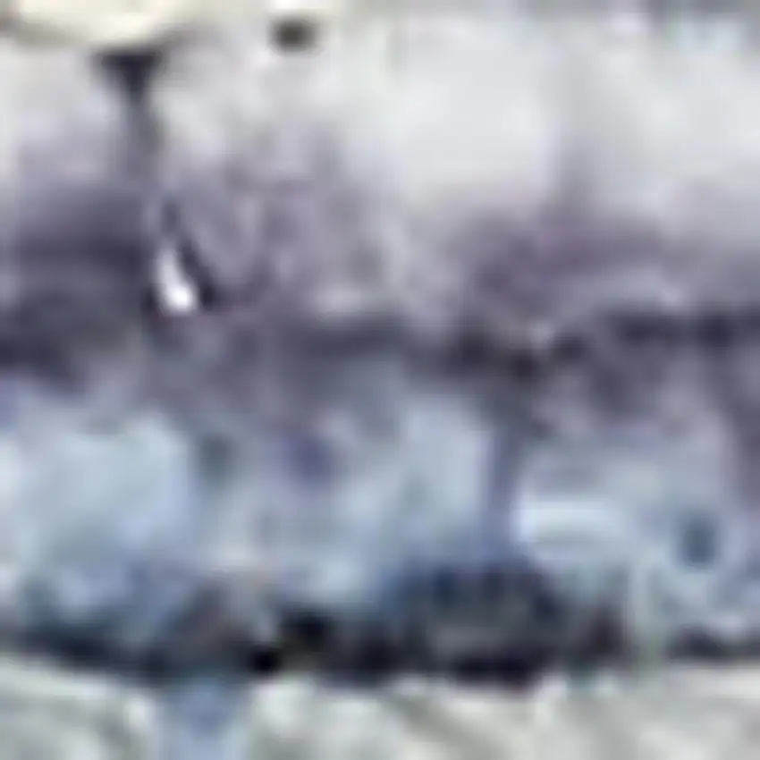 Gray Floral Power Loom Distressed Washable Area Rug Photo 3