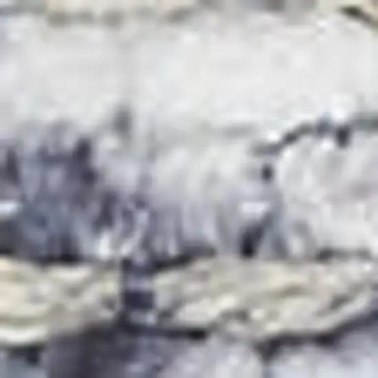 Gray Floral Power Loom Worn Faded Area Rug Photo 3