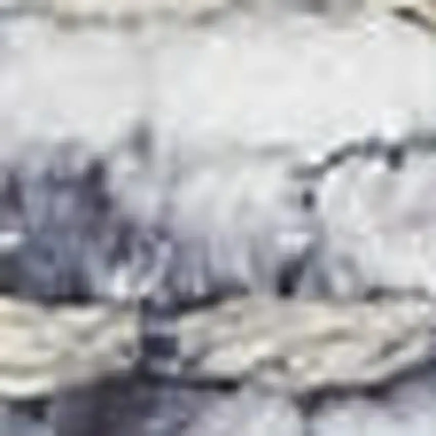 Gray Floral Power Loom Worn Faded Area Rug Photo 3