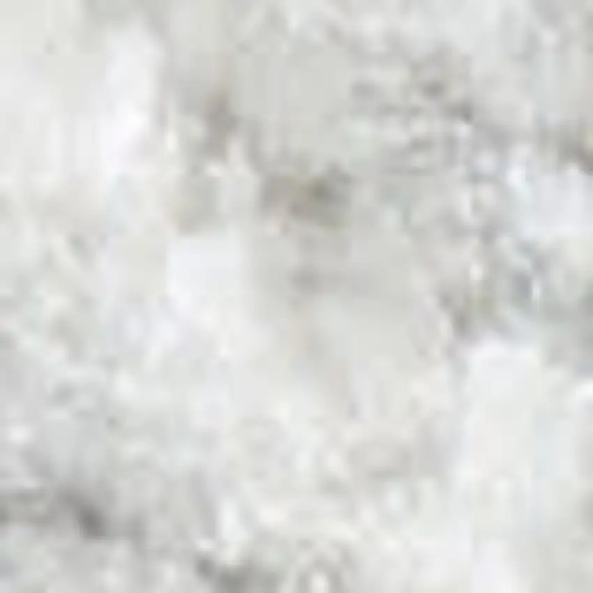 Gray Floral Power Loom Worn Faded Area Rug Photo 3