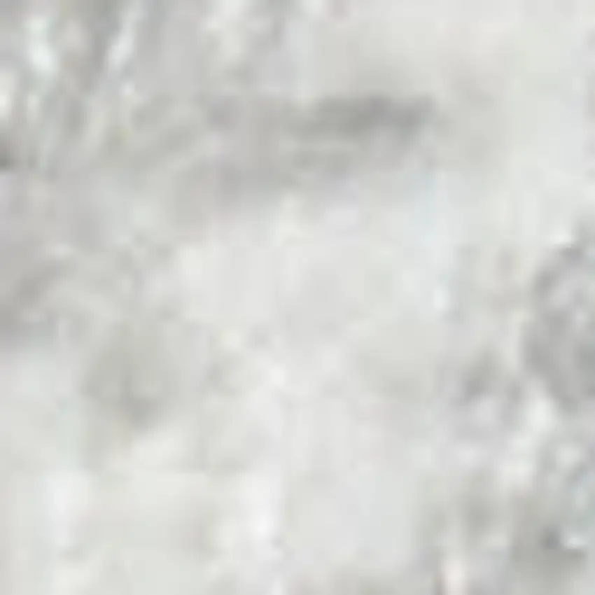 Gray Floral Power Loom Worn Faded Area Rug Photo 3