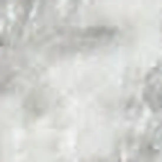 Gray Floral Power Loom Worn Faded Area Rug Photo 3
