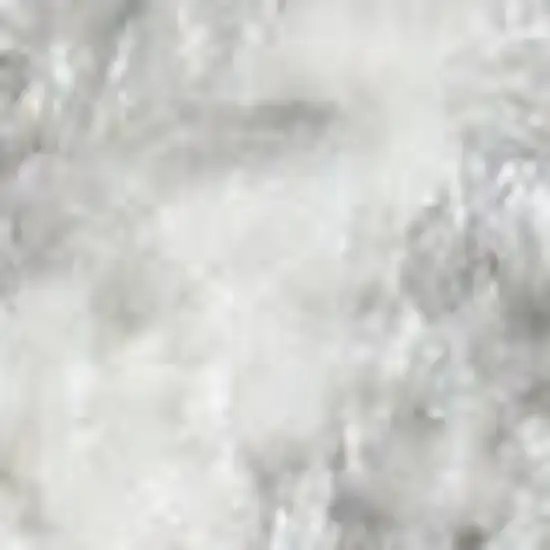 Gray Floral Power Loom Worn Faded Area Rug Photo 4