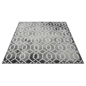 Photo of Gray Geometric Area Rug