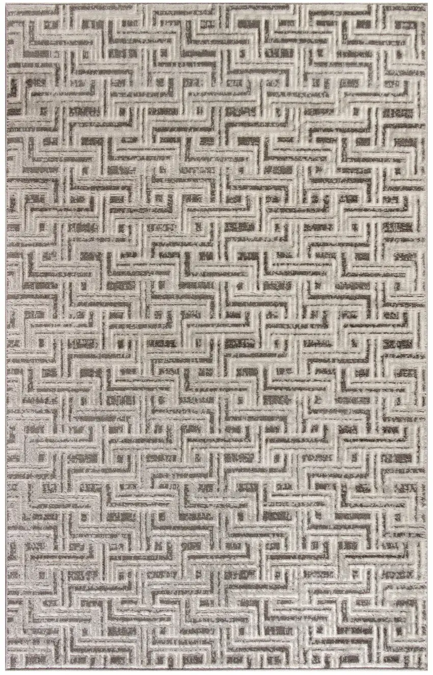 Gray Geometric Distressed Area Rug Photo 1