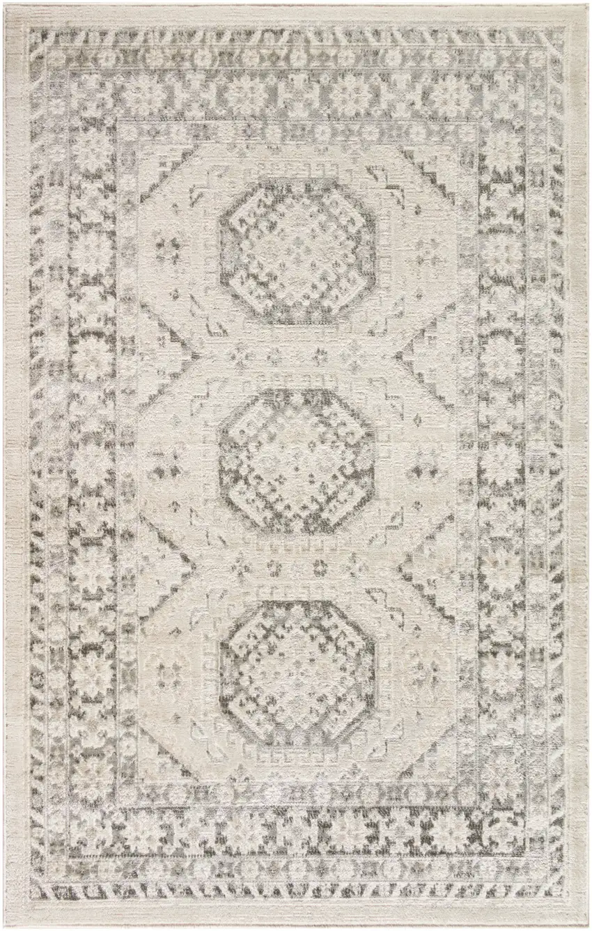 Gray Geometric Distressed Area Rug Photo 1