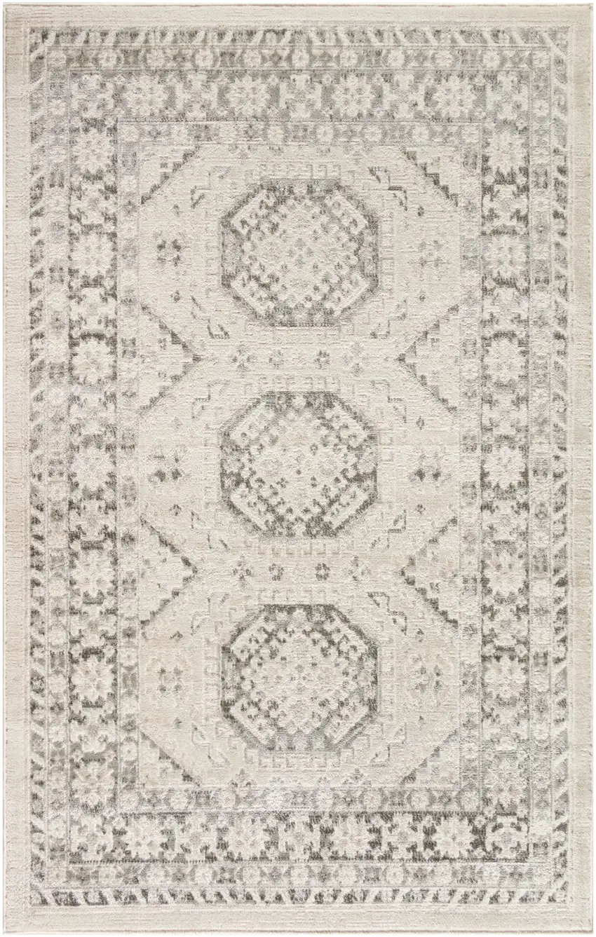 Gray Geometric Distressed Area Rug Photo 1