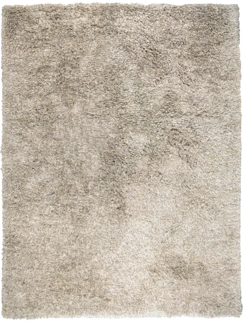 Gray Hand Woven Area Rug Photo 1
