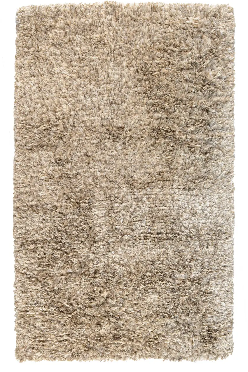 Gray Hand Woven Area Rug Photo 1