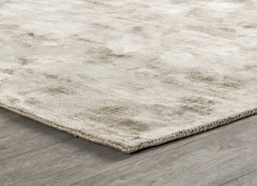 Gray Hand Woven Distressed Area Rug Photo 4
