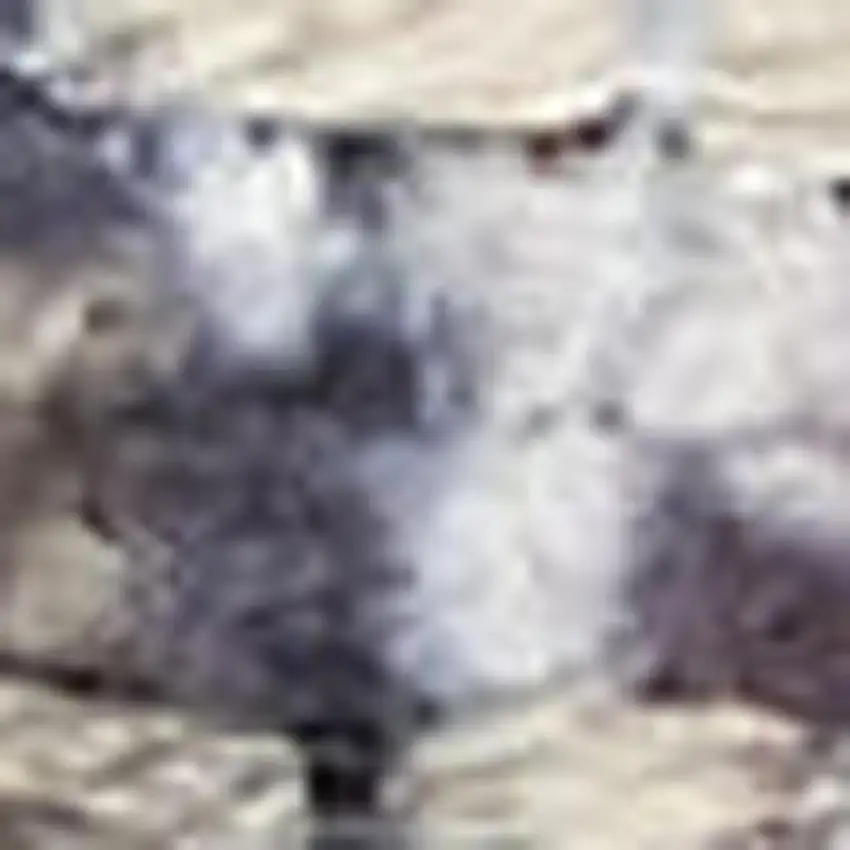 Gray Ivory and Blue Floral Distressed Washable Area Rug Photo 3