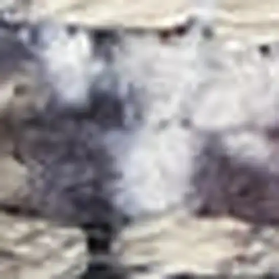 Gray Ivory and Blue Floral Distressed Washable Area Rug Photo 3