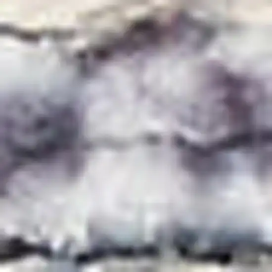 Gray Ivory and Blue Floral Distressed Washable Area Rug Photo 1