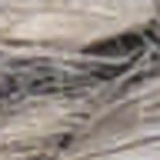 Gray Jute Hand Woven Area Rug Photo 3