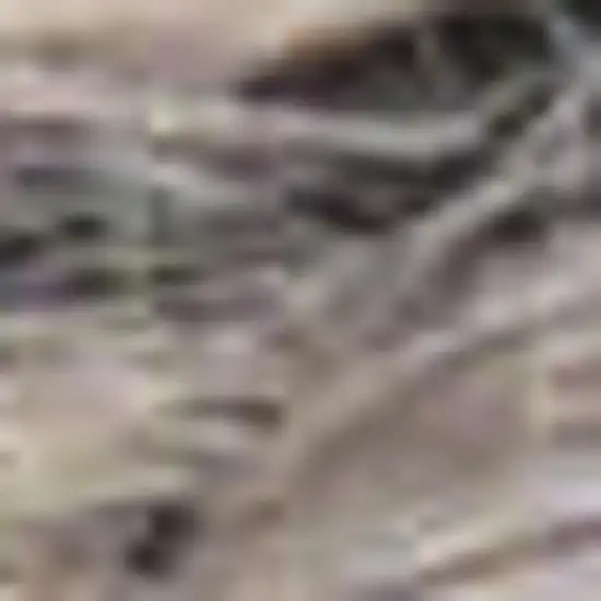 Gray Jute Hand Woven Area Rug Photo 1