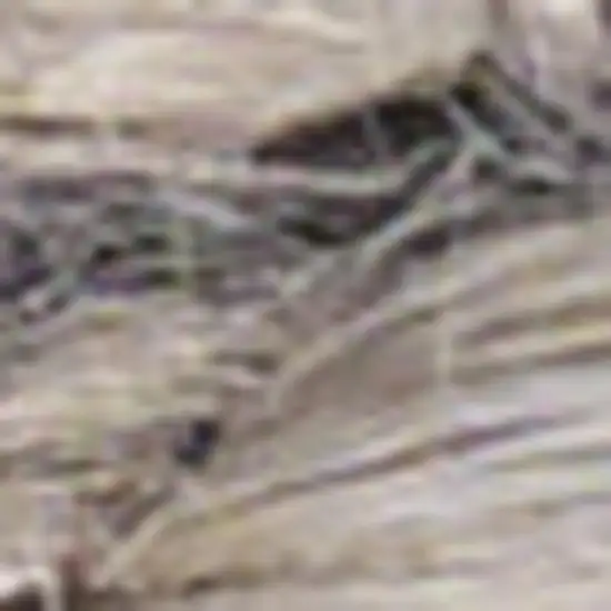 Gray Jute Hand Woven Area Rug Photo 5