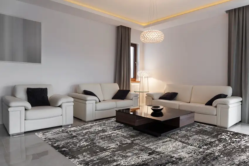 Gray Modern Abstract Area Rug Photo 6