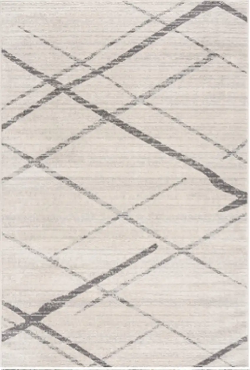 Gray and Ivory Geometric Area Rug Photo 1