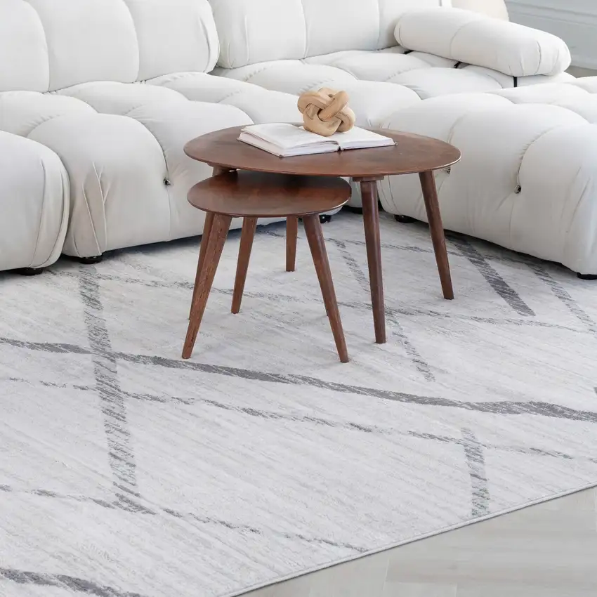 Gray and Ivory Geometric Area Rug Photo 5