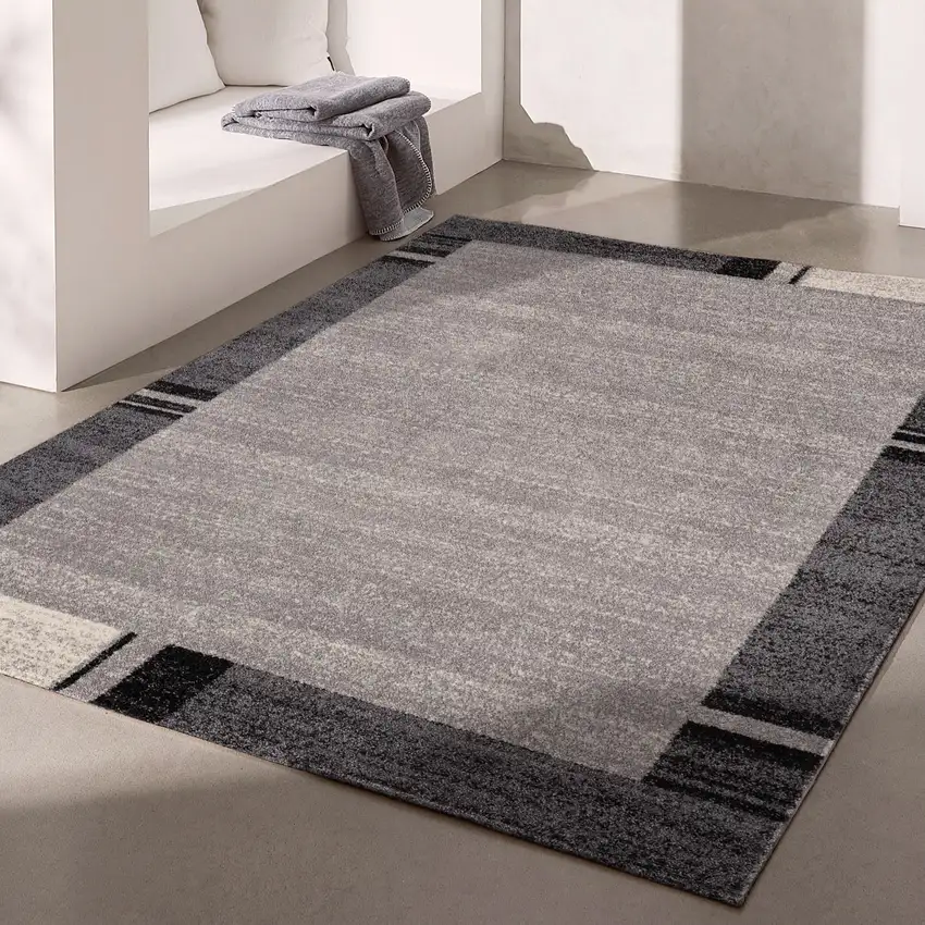 Gray Modern Bordered Area Rug Photo 6