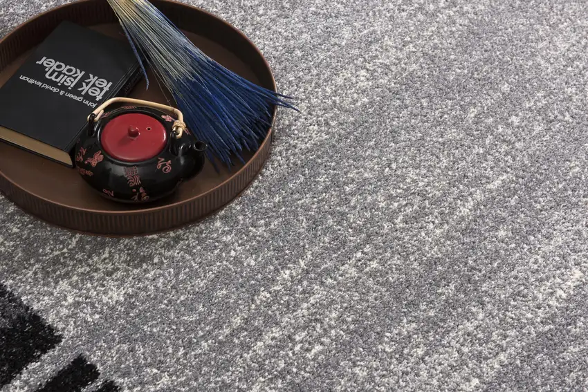 Gray Modern Bordered Area Rug Photo 7