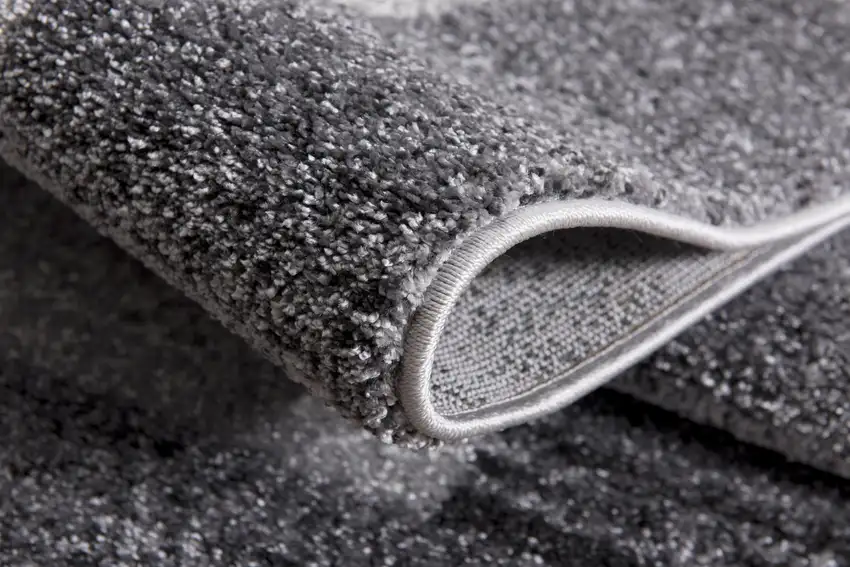 Gray Modern Bordered Area Rug Photo 4