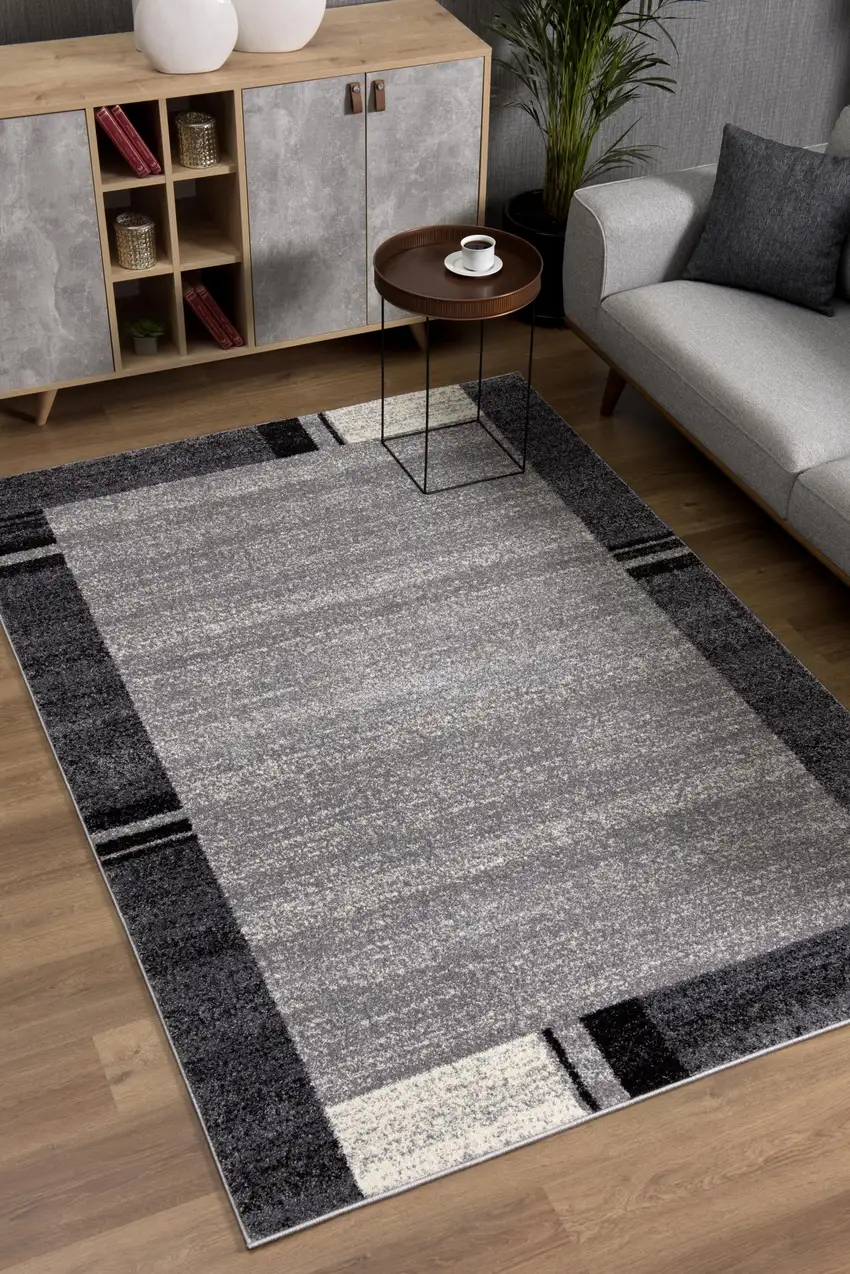 Gray Modern Bordered Area Rug Photo 6