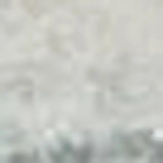 Gray Moroccan Power Loom Area Rug Photo 1