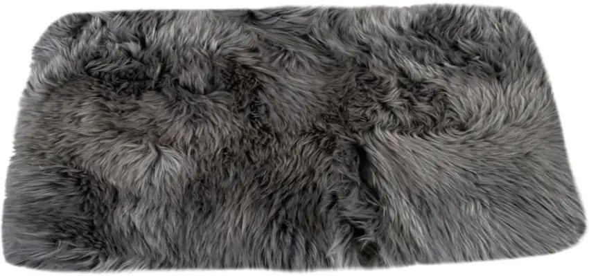 2' X 3' Gray Area Rug Photo 1