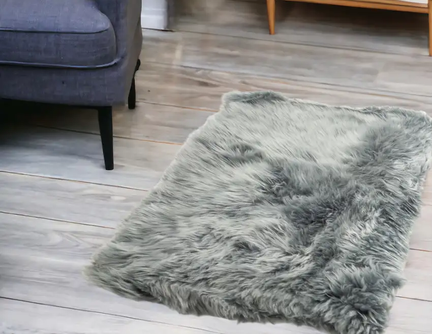 2' x 3' Gray Area Rug Photo 1