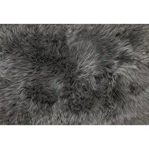 Photo of Gray Natural Sheepskin Area Rug