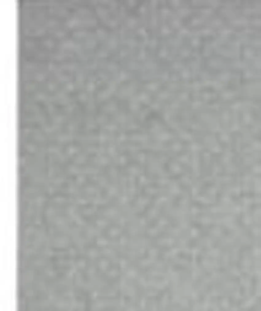 11' Gray Runner Rug Photo 2